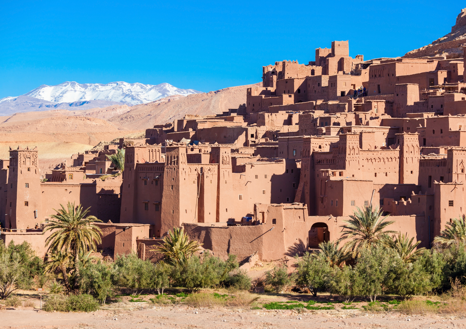 compass morocco tours (110)