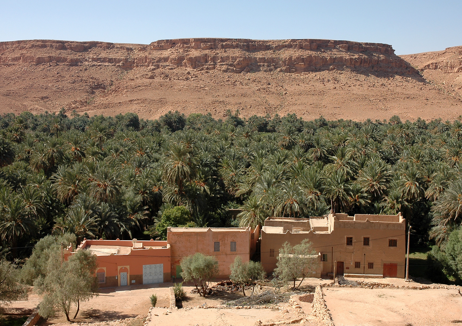 compass morocco tours (126)