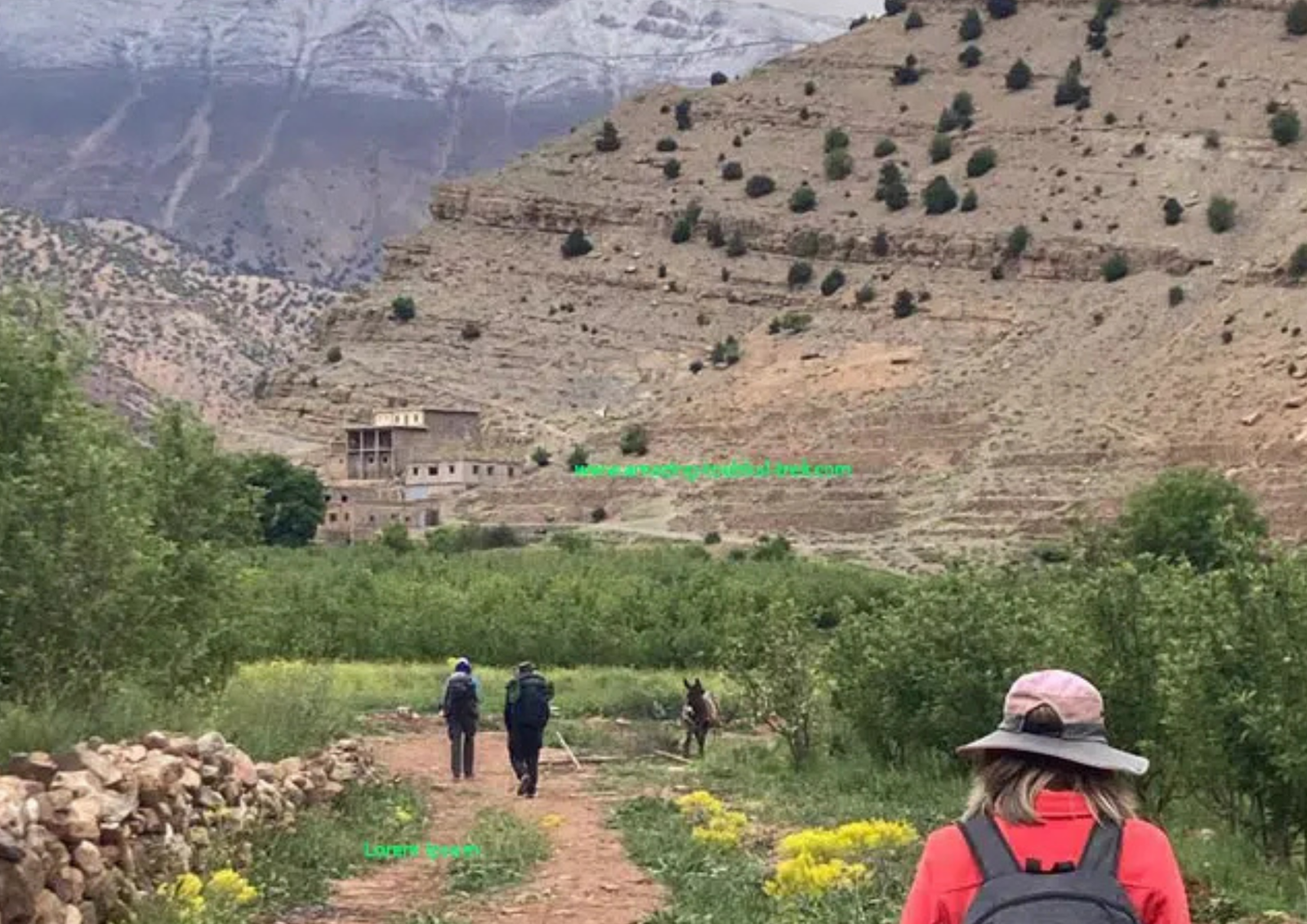 compass morocco tours (144)