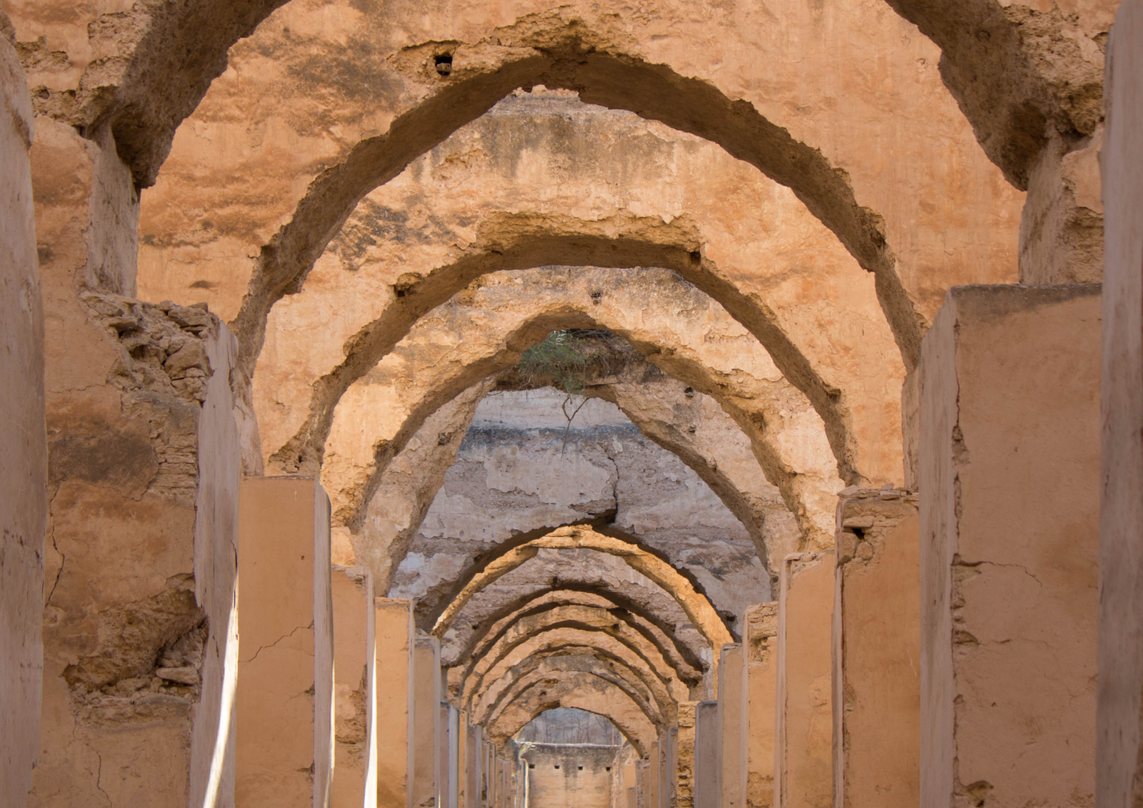 compass morocco tours (150)