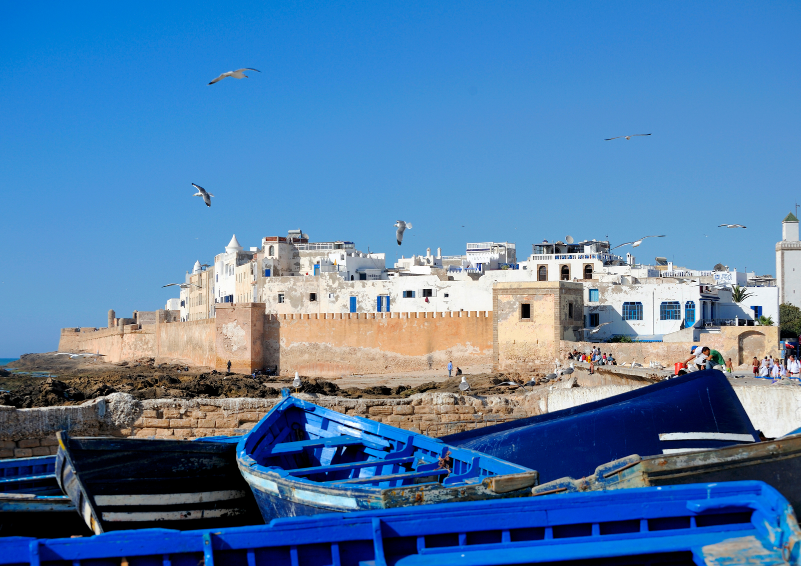 compass morocco tours (154)