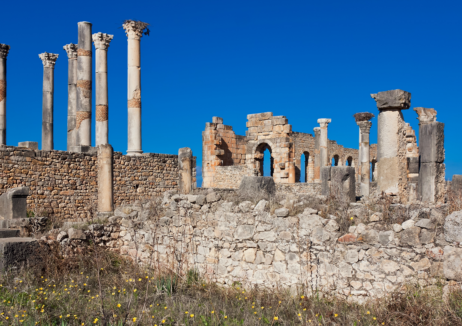 compass morocco tours (171)