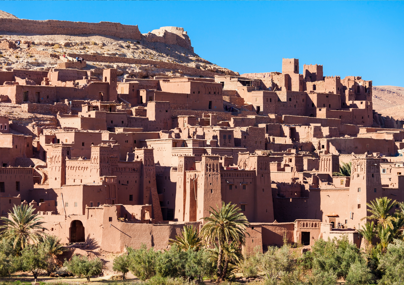 compass morocco tours (178)