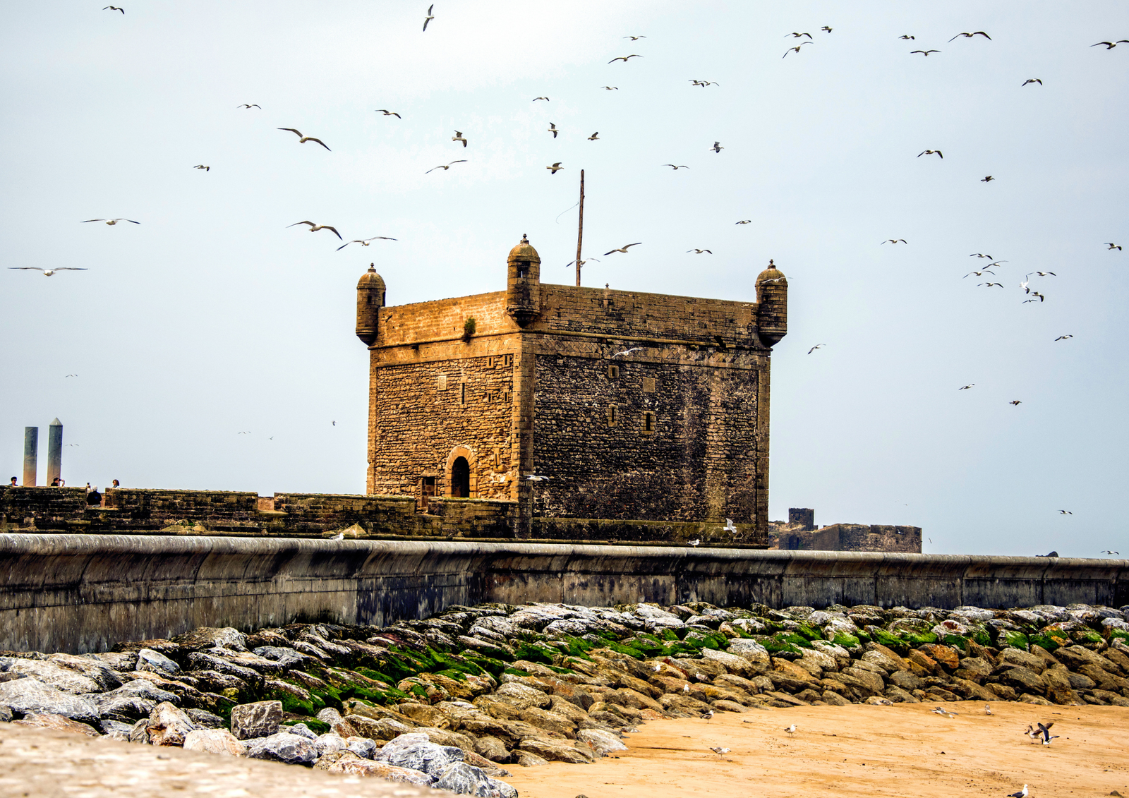 Emily Johnson – USA