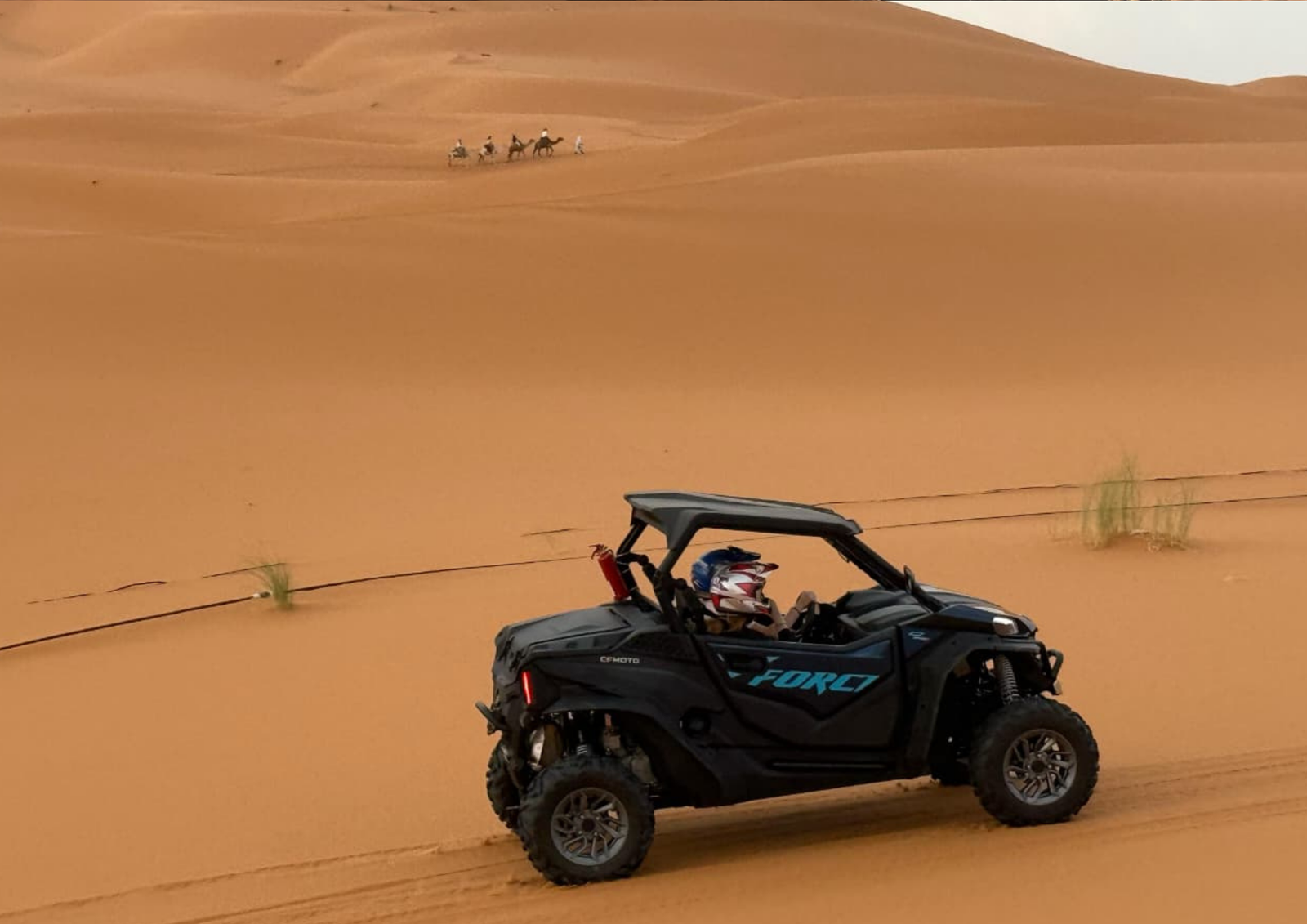 compass morocco tours (76)