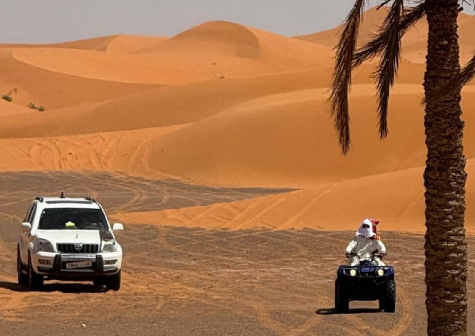 compass morocco tours (80)