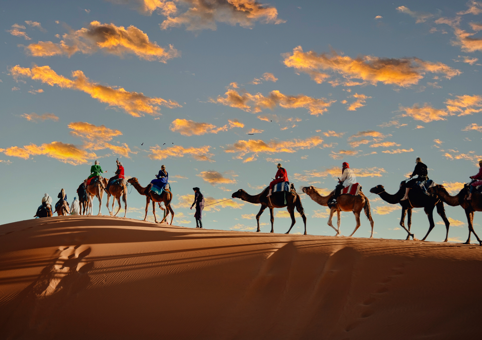 James Robertson – United Kingdom